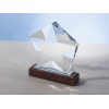Награда "Interstellar", прозрачный