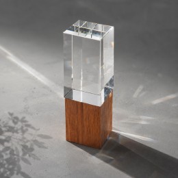 Награда "Wood and glass"