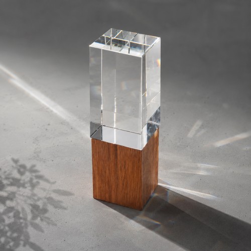 Награда "Wood and glass"