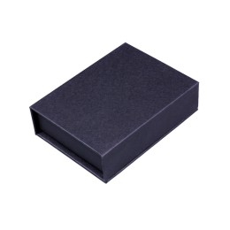 Металлическая флешка со сканером отпечатков пальцев в подарочной упаковке на 256 Гб, серебристый