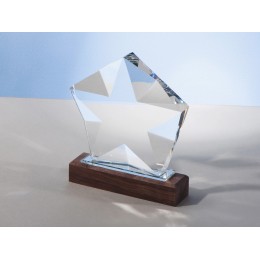 Награда "Interstellar", прозрачный