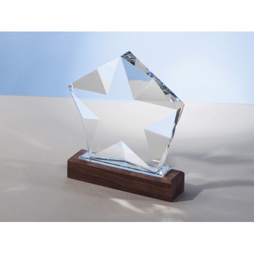 Награда "Interstellar", прозрачный