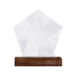 Награда "Interstellar", прозрачный