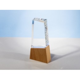 Награда "Konix", прозрачный