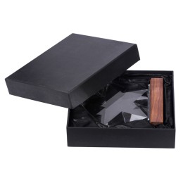 Награда "Interstellar", прозрачный