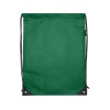 Рюкзак-мешок  на шнурке «Evergreen» из переработанного нетканого материала, зеленый
