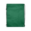 Рюкзак-мешок  на шнурке «Evergreen» из переработанного нетканого материала, зеленый