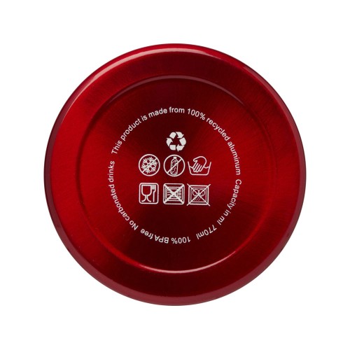 Бутылка для воды с карабином Oregon, объемом 770 мл, красный