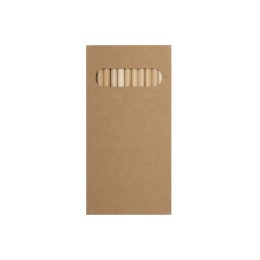 Набор из 12 цветных карандашей "Painter", крафт