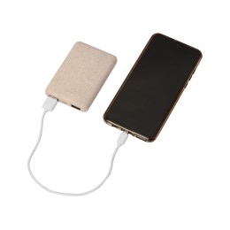 Портативное зарядное устройство "Wheatty", 5000 mAh