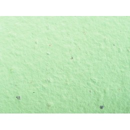 Живой блокнот с семенами цветов, А6, зеленое яблоко