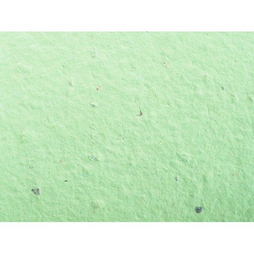 Живой блокнот с семенами цветов, А6, зеленое яблоко