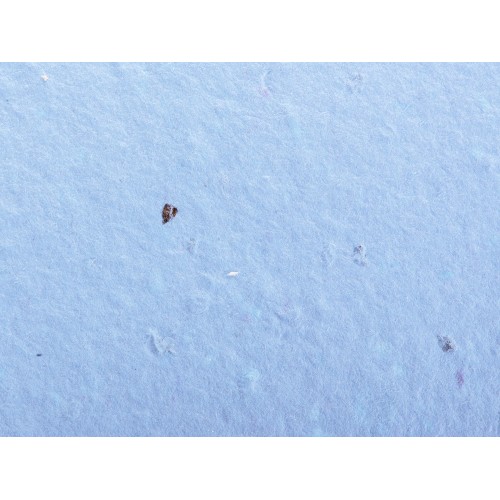 Живой блокнот с семенами цветов, А6, синий