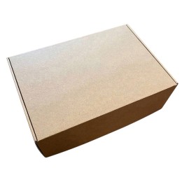 Дорожная сумка Реген, серый