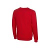 Толстовка "Rome" мужская, красный