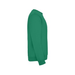 Свитшот с начесом "Clasica" унисекс, зеленый