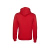 Толстовка с капюшоном "Amsterdam" мужская, красный