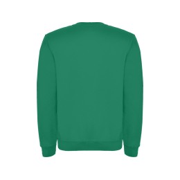 Свитшот с начесом "Clasica" унисекс, зеленый