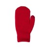 Варежки «Dunant», красный
