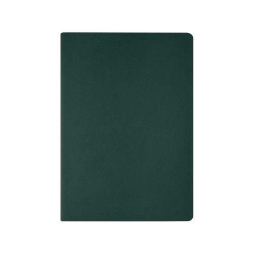 Бизнес-тетрадь А4 "Pragmatic",  40л., клетка, зеленый