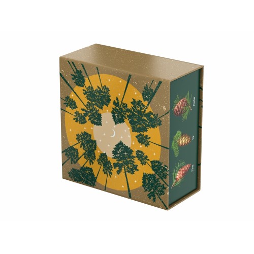 Подарочный набор c чаем "С сосновым годом!"