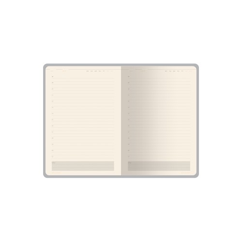 Ежедневник недатированный А5 "Status", красный