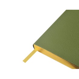 Ежедневник недатированный А5 "Verde" с нашивкой, зеленый