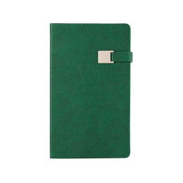 Ежедневник недатированный А5 "Premier", зеленый