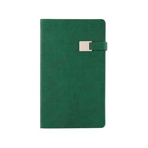 Ежедневник недатированный А5 "Premier", зеленый
