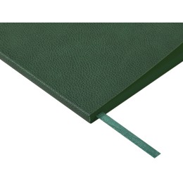 Ежедневник недатированный А5 "Megapolis Loft Flex", зеленый