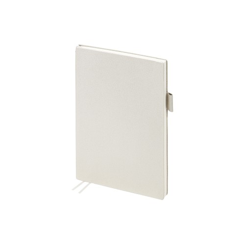 Ежедневник недатированный А5 "Grand", серебро