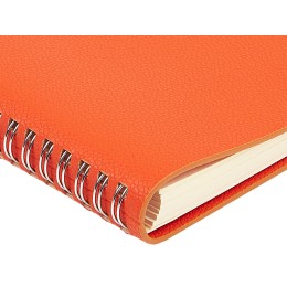 Ежедневник недатированный А5 "Alba", оранжевый
