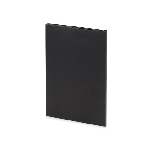 Еженедельник недатированный А4 «Profy», черный