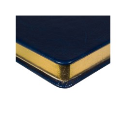 Ежедневник недатированный А5 "Megapolis Nebraska", синий с золотым обрезом