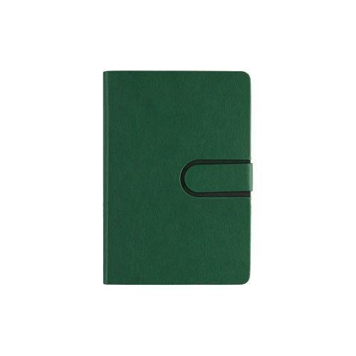 Ежедневник недатированный А5 "Status", зеленый
