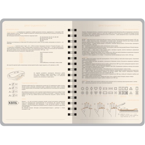 Ежедневник А5 "Tintoretto", черный