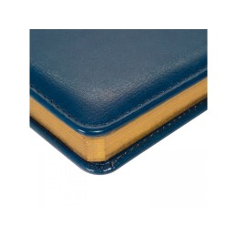 Ежедневник недатированный А6+ "Sidney Nebraska", синий (золотой обрез)