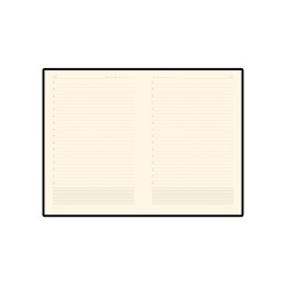 Ежедневник недатированный  А5 "PRIMAVERA" синий