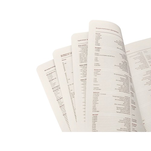 Ежедневник недатированный А5 "Parliament", темно-серый