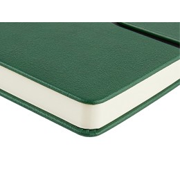 Ежедневник недатированный А5 "Status", зеленый