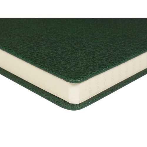 Ежедневник недатированный А5 "Loft", зеленый