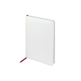 Ежедневник недатированный А5 "Sidney Nebraska", белый (серебряный обрез)