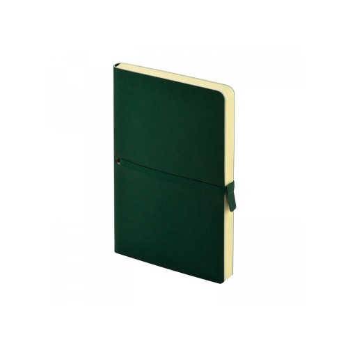 Ежедневник недатированный А5 «Tokyo», зеленый