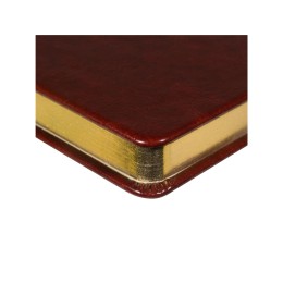 Ежедневник недатированный А5 "Megapolis Nebraska", коричневый с золотым обрезом