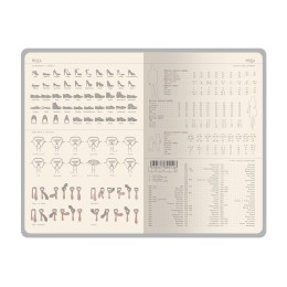 Ежедневник недатированный А5 "Soho", зеленый