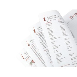 Ежедневник недатированный А5 "Sidney Nebraska", бордовый (золотой обрез, золотые уголки)