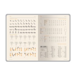 Ежедневник недатированный А5 "Boston", черный (бирюзовый обрез)