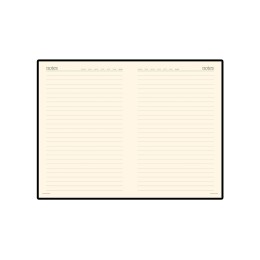 Ежедневник недатированный А6 «Megapolis», черный