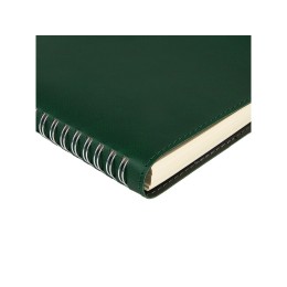 Ежедневник А5 "Tintoretto", зеленый