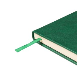 Ежедневник недатированный А5 "Premier", зеленый